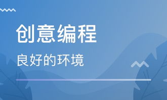 济南python web服务器创意编程