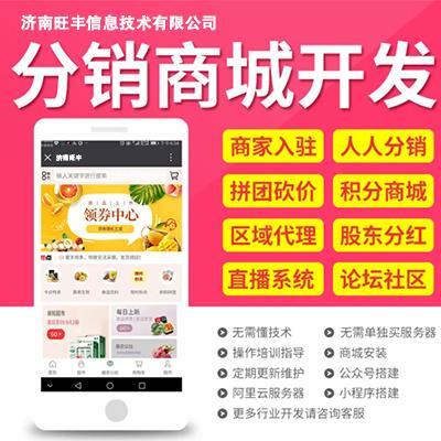 商城网站建设制作相关产品推荐