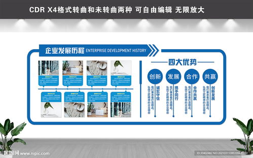 发展历程图片