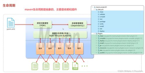 javaweb后端开发 第一期 maven基础 maven的安装配置 如何创建maven项目模块 maven的生命周期