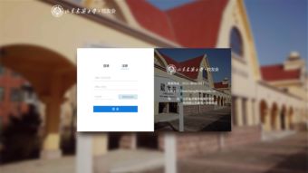 济南大学校友会网站建设与未来发展